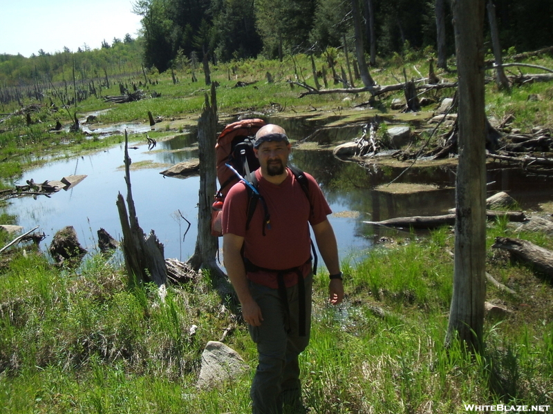 Swampy Pond