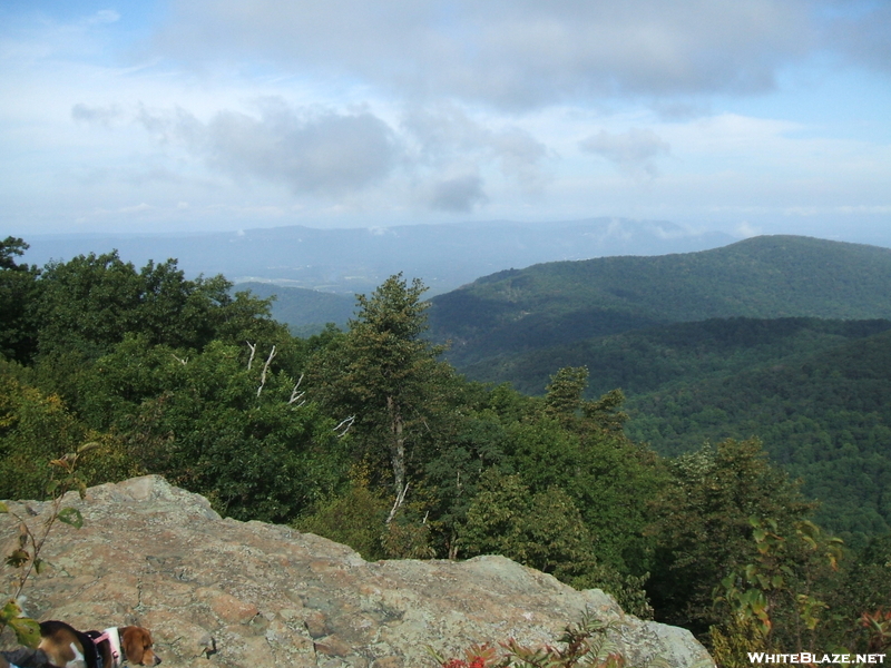 Possums Rest Overlook