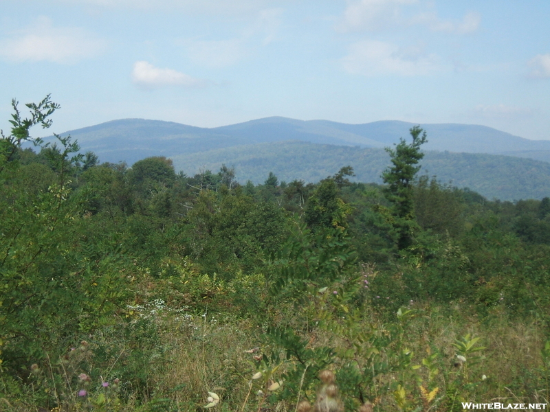 Shenandoah View