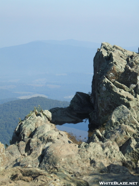 Rock Pool