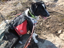 Hank At Cat Rocks