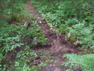 Trail Work - Corbin Hill Ny by sasquatch2014 in Trail & Blazes in New Jersey & New York