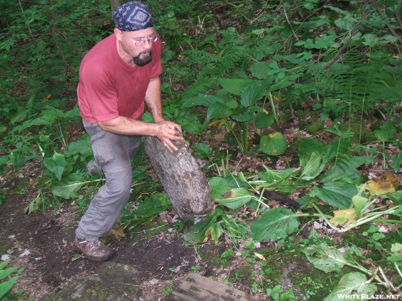 Trail Work - Corbin Hill Ny