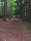 Vt Southbound Summer Hike 09 by sasquatch2014 in Trail & Blazes in Vermont