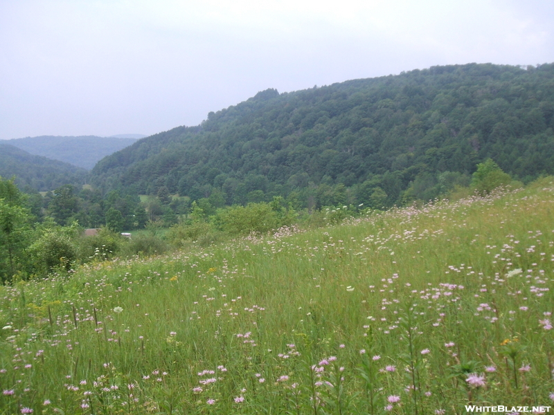 Vt Southbound Summer Hike 09