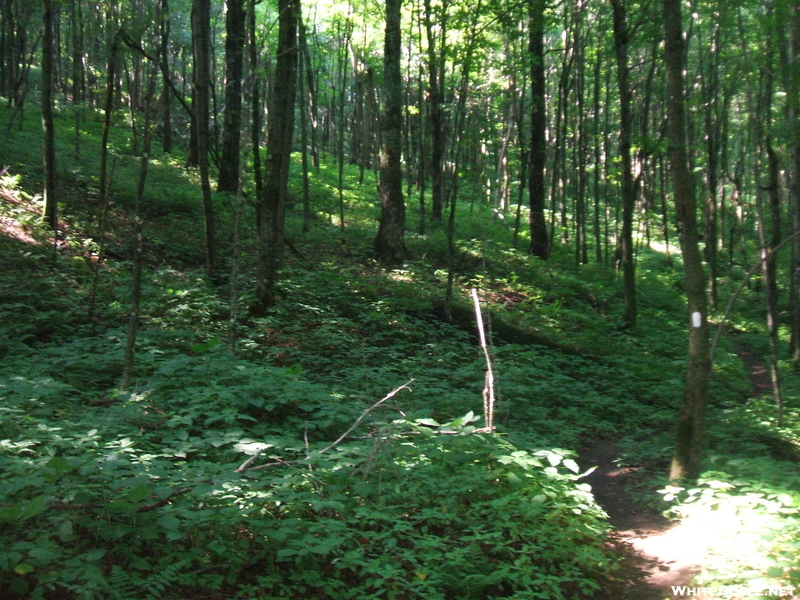 Vermont Hike Summer 09