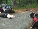 Nap Time by sasquatch2014 in Section Hikers