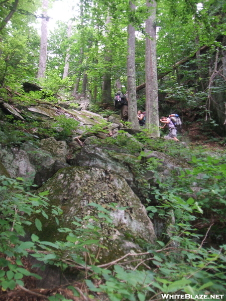 Vermont Hike Summer 09