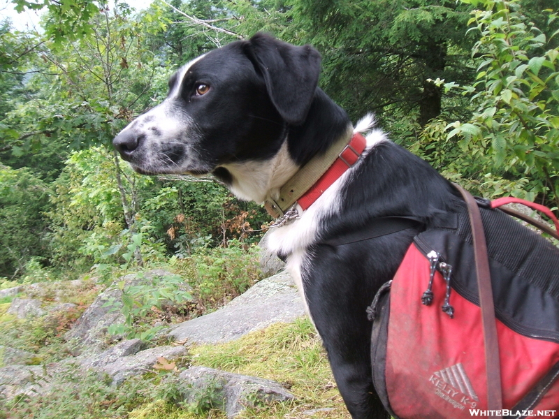 Vermont Hike Summer 09