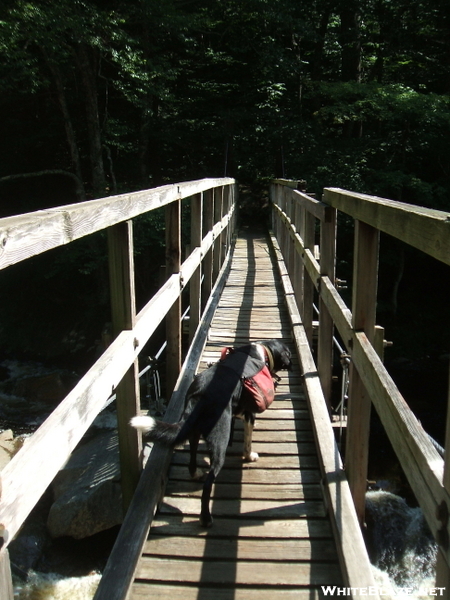 Vermont Hike Summer 09