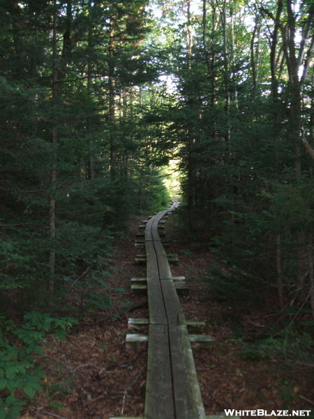 Vermont Hike Summer 09