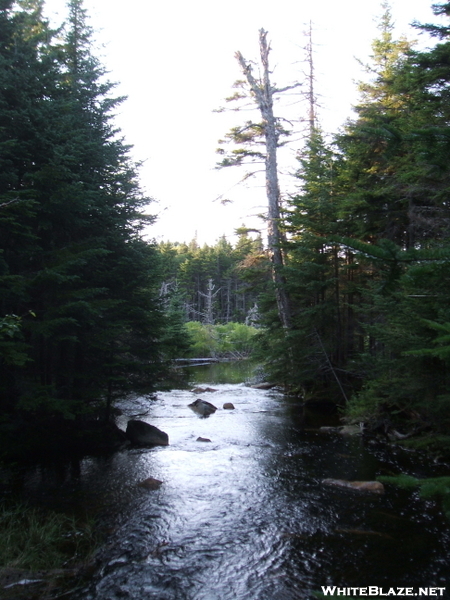 Vermont Hike Summer 09