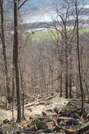 Bear Mt Trail Volunteer Orientation