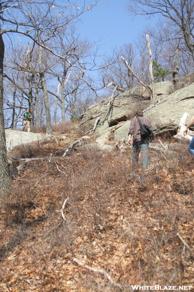 Bear Mt Trail Volunteer Orientation