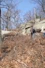 Bear Mt Trail Volunteer Orientation