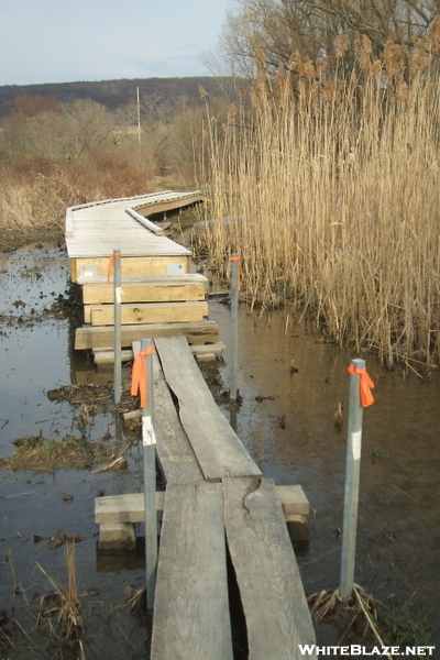 Late March In The Great Swamp Ny At