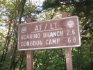 sign 1 by sasquatch2014 in Trail & Blazes in Vermont