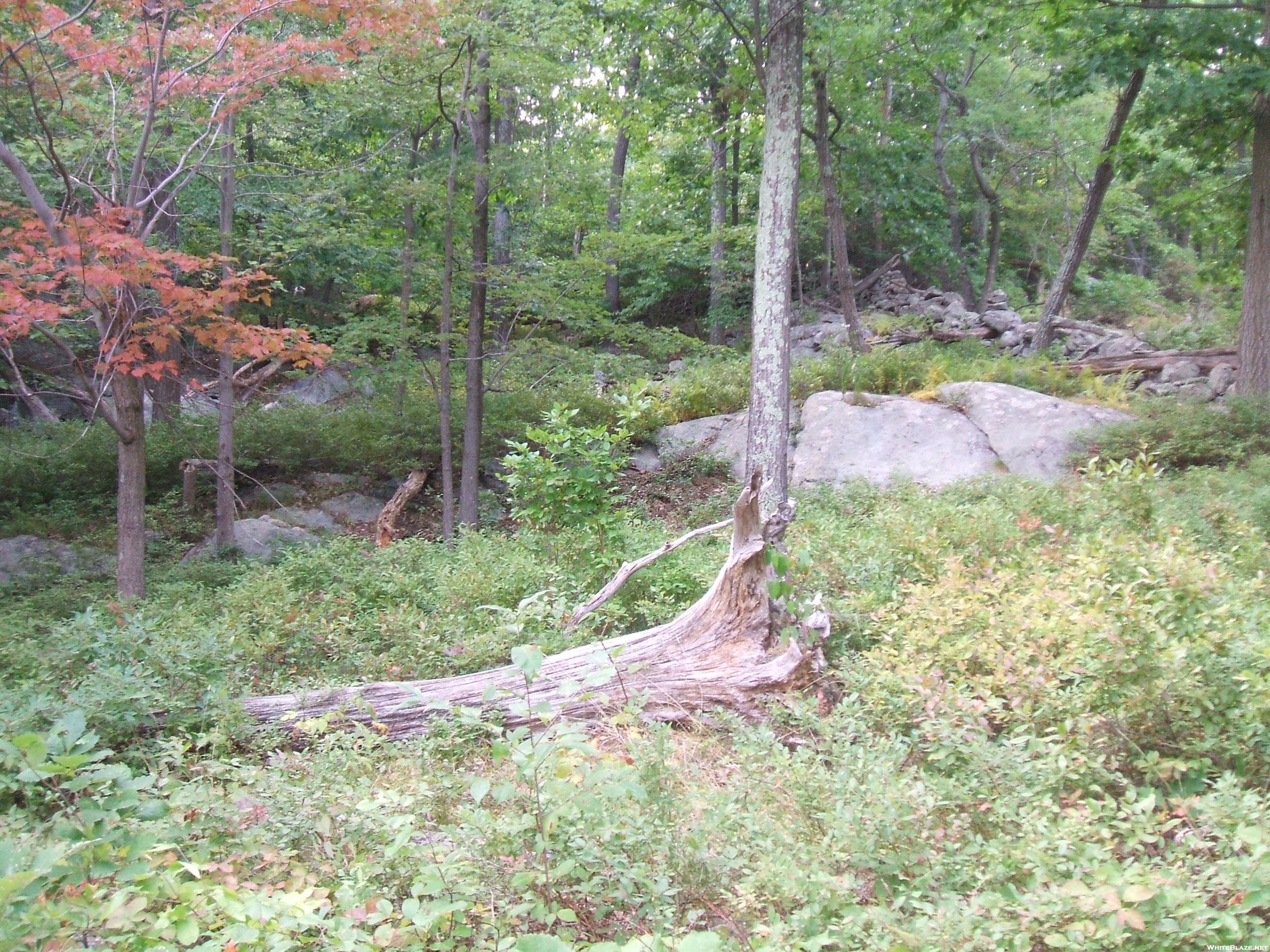 stone Wall and Fall colors