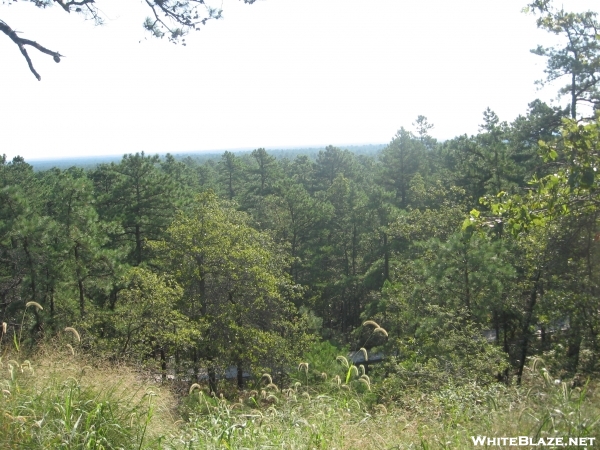 View from Apple Pie Hill