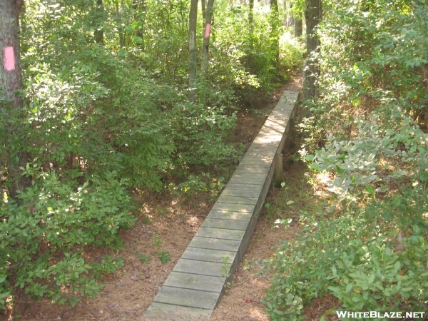 Foot Bridge outside of Batona Camp site