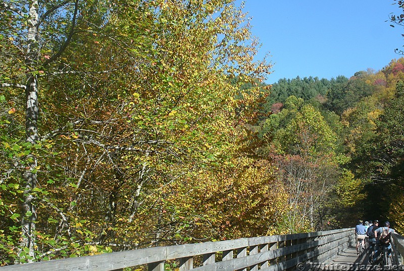 Fall foliage near Damascus VA, 2017 October