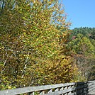 Fall foliage near Damascus VA, 2017 October by GoldenBear in Trail & Blazes in Virginia & West Virginia