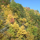 Fall foliage near Damascus, 2017 October by GoldenBear in Trail & Blazes in Virginia & West Virginia