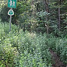 Hiway 301 to Pelton Ponds Campground by GoldenBear in Trail & Blazes in New Jersey & New York