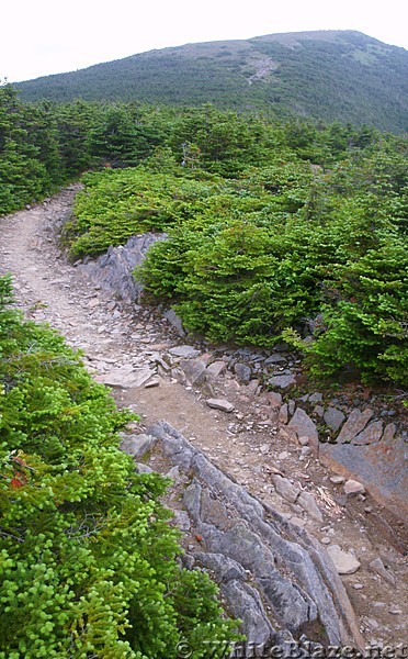 First view of peak of Mount Moosilauke