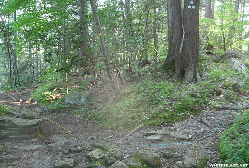 Hiway 301 Parking to Pelton Pond Campground