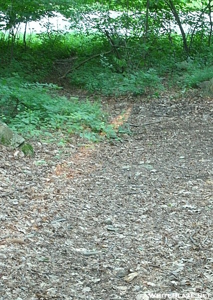 Hiway 301 Parking to Pelton Pond Campground