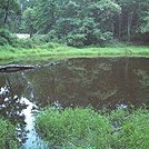 Pond at Punchbowl Shelter by GoldenBear in Virginia & West Virginia Shelters