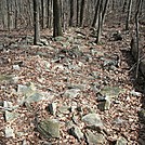 Rock pile? Or the AT? Or both?! by GoldenBear in Trail & Blazes in Maryland & Pennsylvania