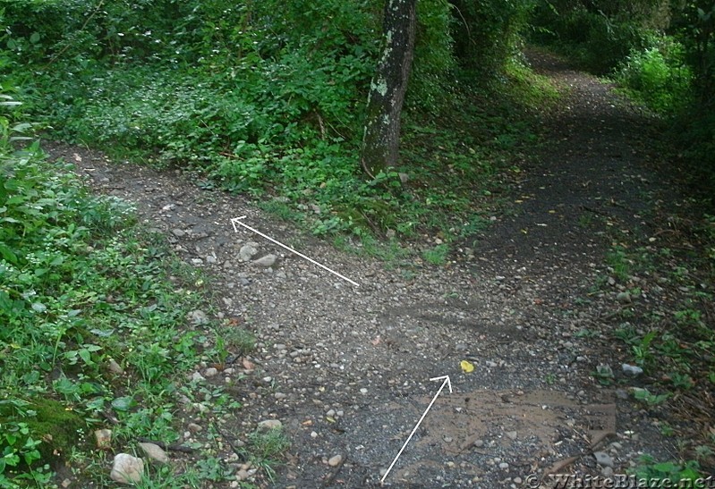 Walking through the outskirts of Pearisburg