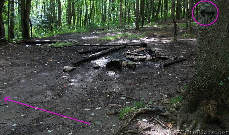 Walking from Trail to Greasy Creek Friendly