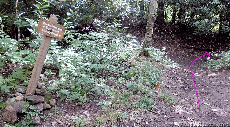 Walking from Trail to Greasy Creek Friendly