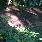 Trail near Whitetop Mtn Rd by GoldenBear in Trail & Blazes in Virginia & West Virginia