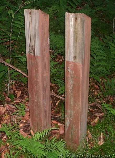 Trail near Whitetop Mtn Rd