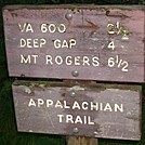 Trail near Whitetop Mtn Rd by GoldenBear in Trail & Blazes in Virginia & West Virginia