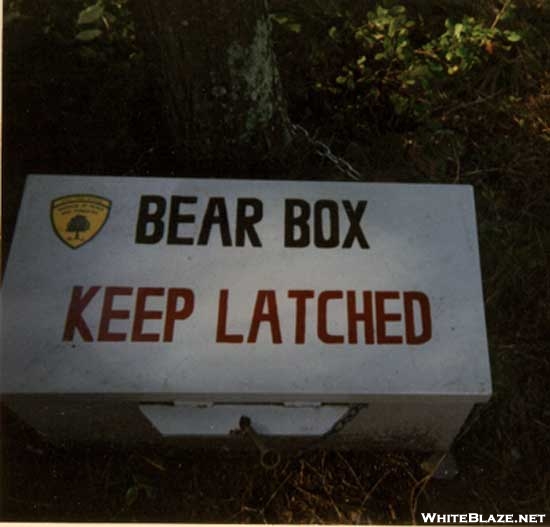 Bear Box