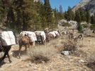 Jmt Photos by garbanz in Pacific Crest Trail