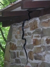 Laurel Fork Shelter Black Snake