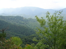 Appalachian Trail Trip 1 Wayah Bald To Noc, Nc 058 by Roots in Section Hikers