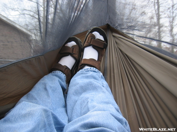 Laying across the hammock