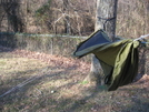 Warbonnet Blackbird Pics by HikerRanky in Hammock camping