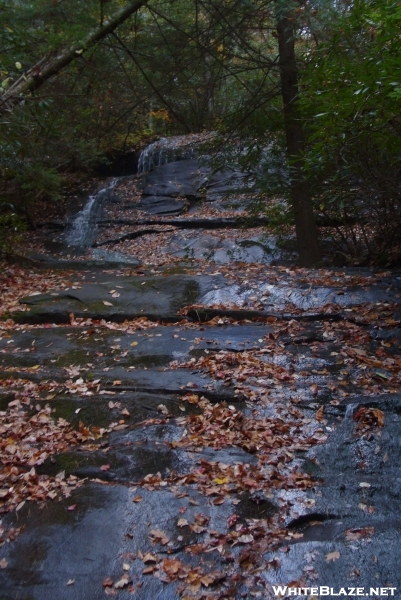 Fall Branch Falls