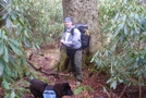 Envirodiver In Joyce Kilmer by envirodiver in Section Hikers