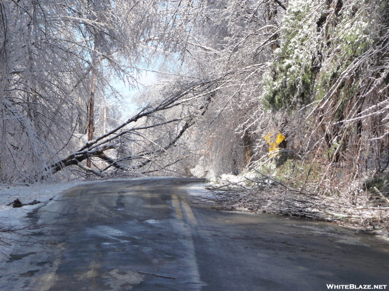 Ice Storm Damage