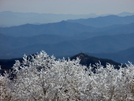 Shuck Stack Fire Tower