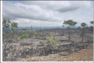 Devastation left behind after years of Copper Mining, PA